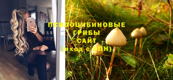 ешки Армянск